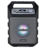 Aiwa ABT100A 9 W Bluetooth Party Speaker (Black, Mono Channel)