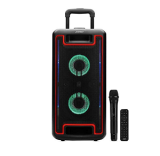 F&D PA938 80W Bluetooth Party Speaker